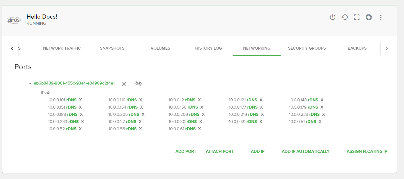 ../_images/instance-details-networking-tab.png